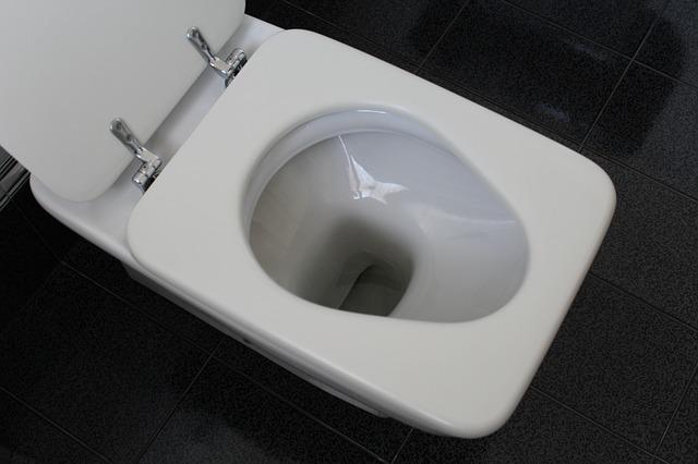Company sanctions employees using toilet more than once a day