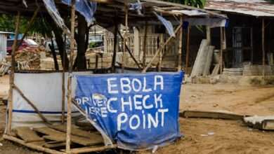 WHO identifies the origin of the new Ebola epidemic in the DRC