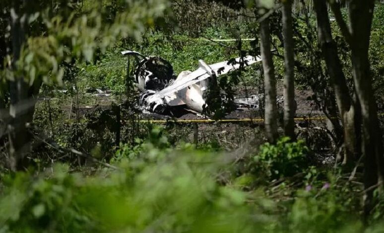 Six killed in army plane crash in Mexico