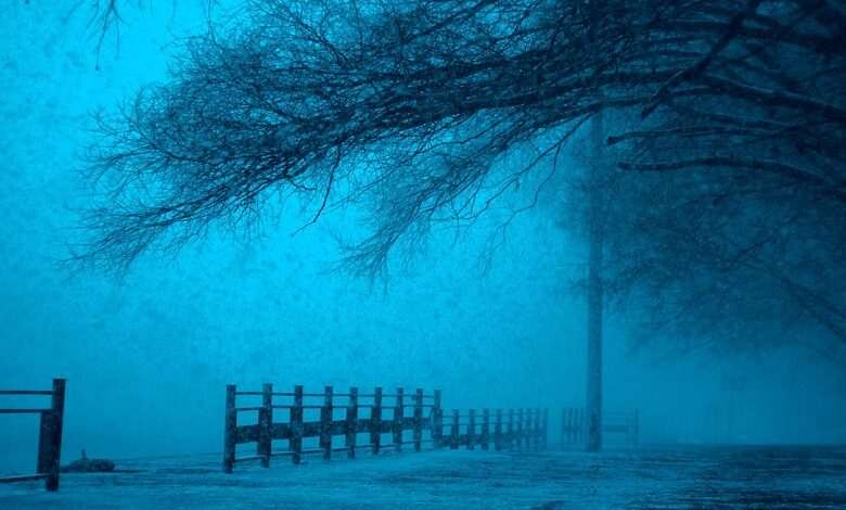 In Russia, a mother left her three children naked in a forest in freezing temperatures. The 33-year-old woman wanted to kill the children
