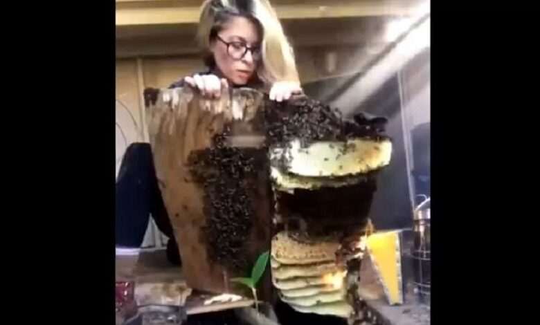 Female beekeeper