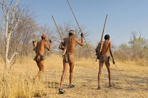 Bushmen tribe