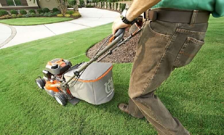 How to mow a lawn and what size of lawnmower do I need?