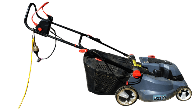 Electric push mower: affordable prices