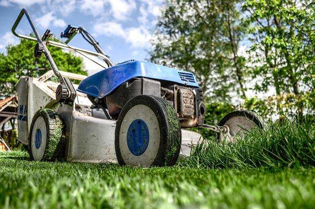 Gasoline Mower: Good for large gardens