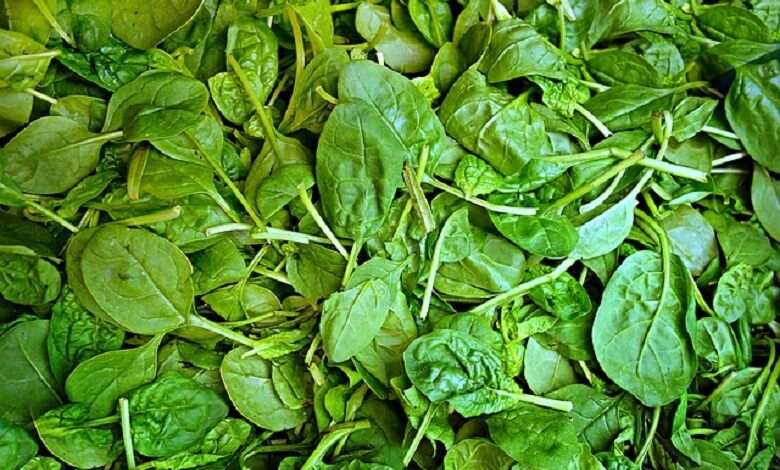 African foods that aid in weight loss