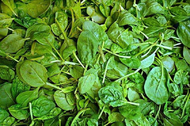 African foods that aid in weight loss