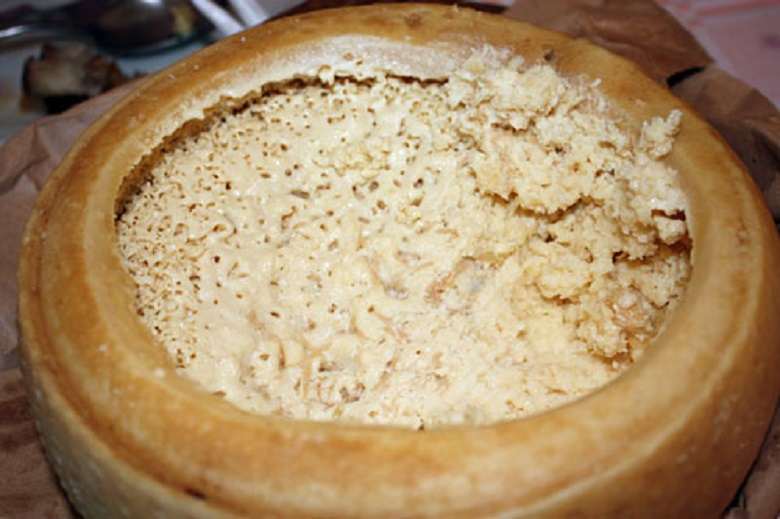 Casu Marzu