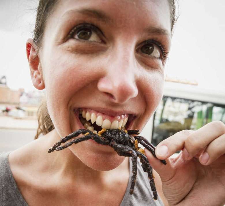 Fried tarantulas
