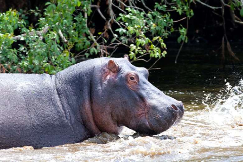 Lake Mburo National Park