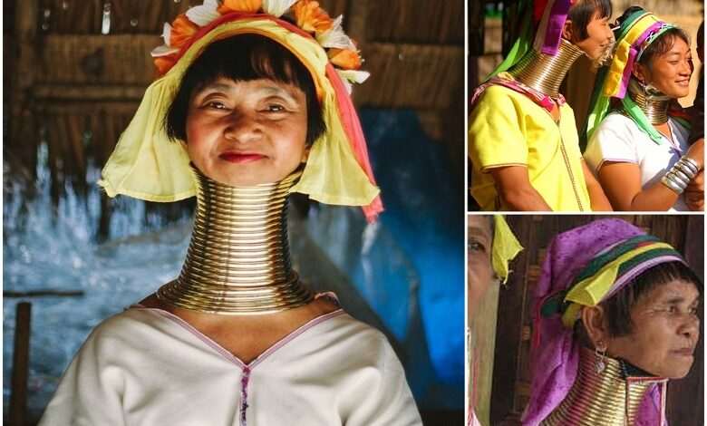 Padaung tribe: The female giraffes or women of long neck