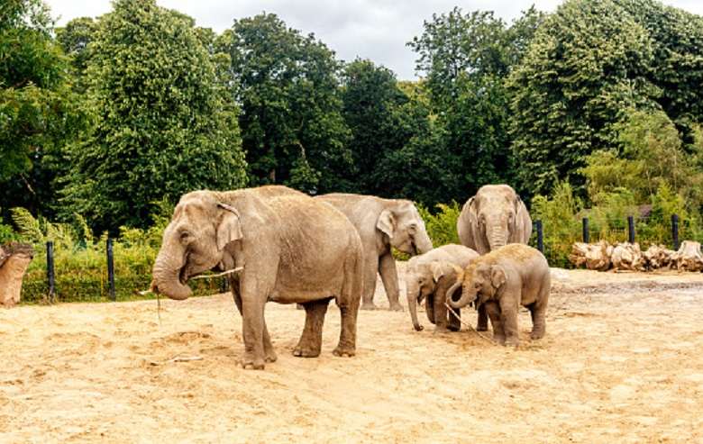 Phrygia Zoo