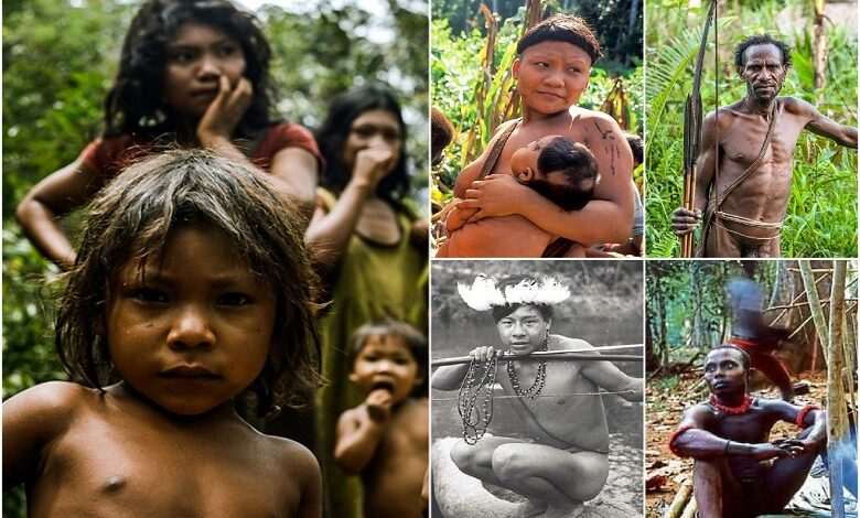 Primitive tribes: some uncontacted tribes in the world