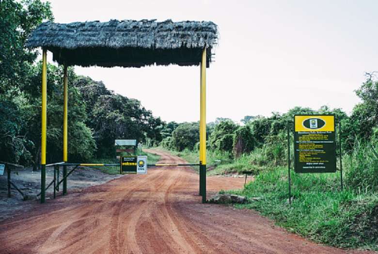 Safari in Murchison Falls National Park