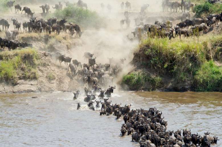 Serengeti National park