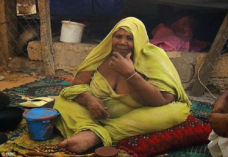 Forced feeding