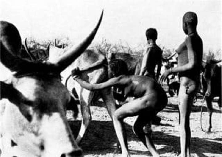 Bubal tribe: a tribe of bad dancers with giant testicles