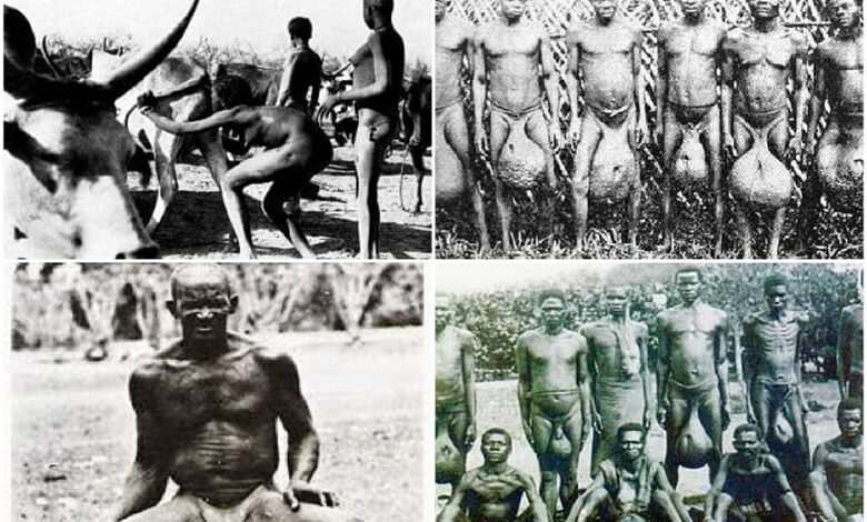 Bubal tribe: a tribe of bad dancers with giant testicles