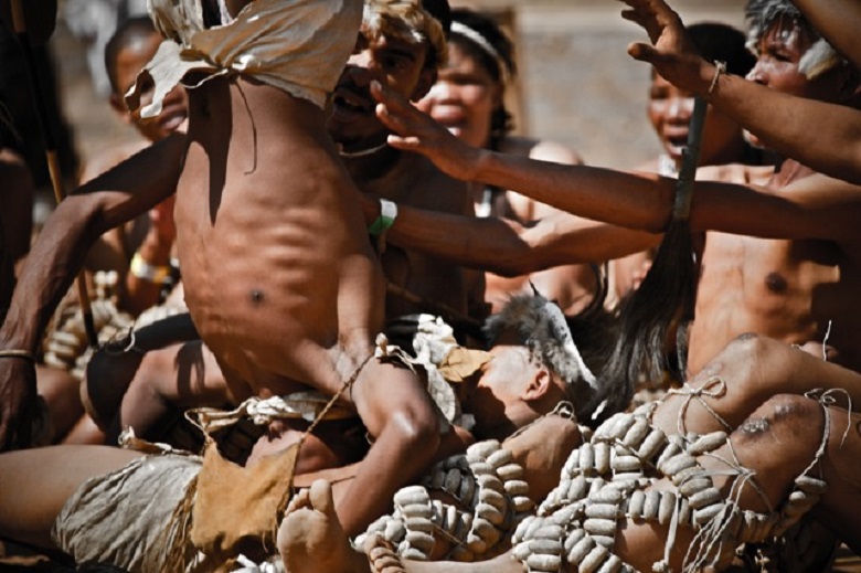 Indigenous tribe of Bushmen