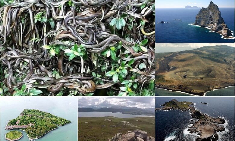 The oceans are full of islands where it is better not to set foot. Queimada Grande, ball’s Pyramid, Gruinard, Bikini Atoll these islands list among the world’s most dangerous places.