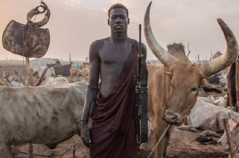 Dinka man with his cows 