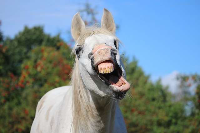 Why do we yawn when we see someone else yawning