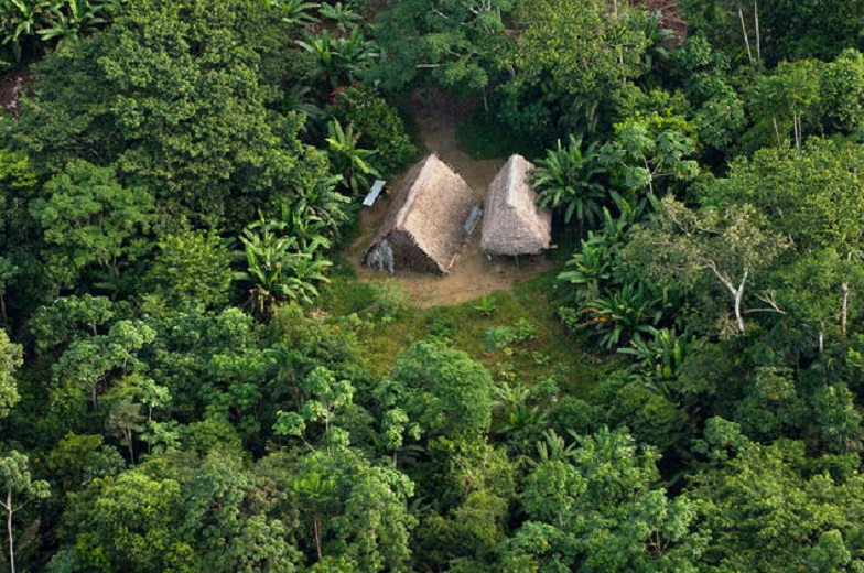 Huaorani Houses seen from the air