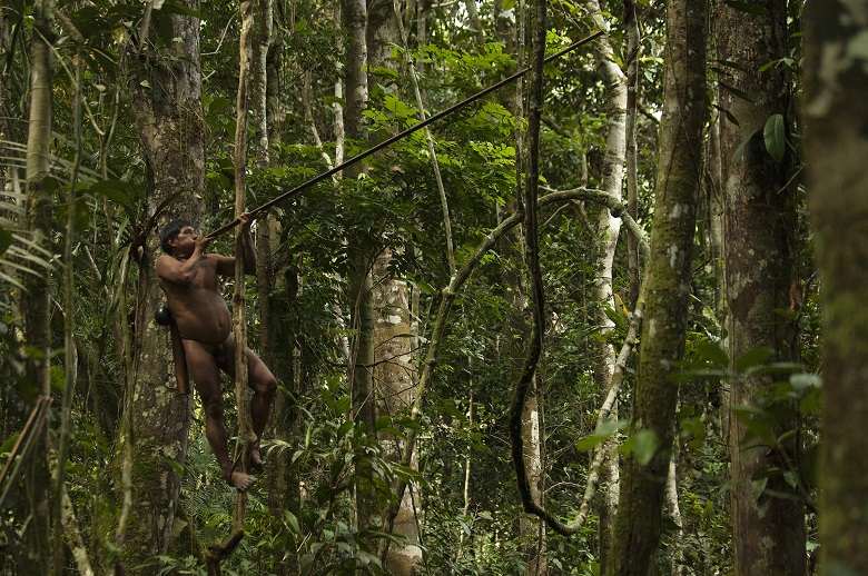 Ontagamo Kaimo out hunting with his blowgun.