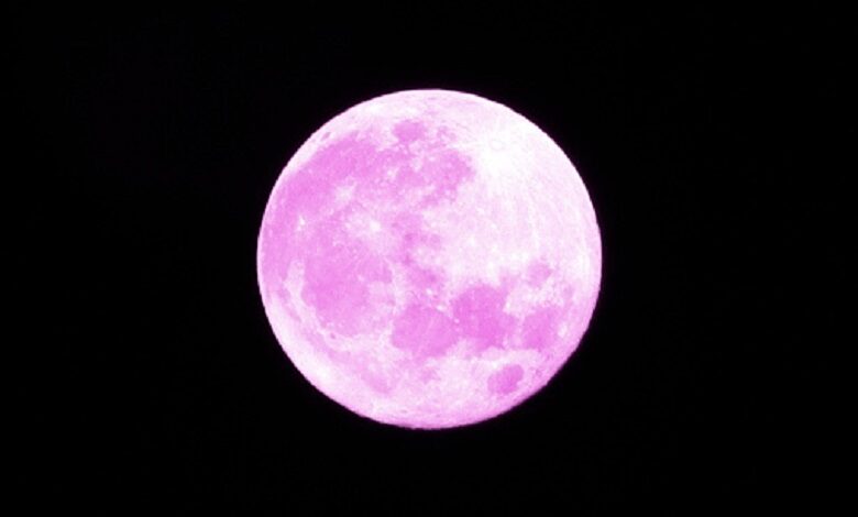 Tonight it is worthwhile to look outside. We get to see a ‘pink’ super moon. This full moon is named after the blooming pink spring flowers, but in reality, is more likely to be gold in color.