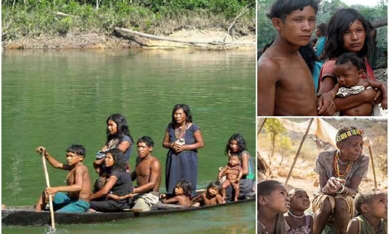 No night sleep, stress, or envy: The Piraha tribe don’t sleep