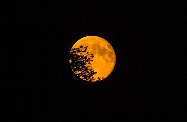 Tonight it is worthwhile to look outside. We get to see a ‘pink’ super moon. This full moon is named after the blooming pink spring flowers, but in reality, is more likely to be gold in color.