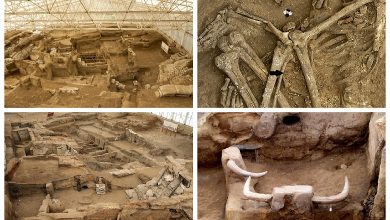 Mystery of the Neolithic “megalopolis”: What sad history of Catalhoyuk teaches