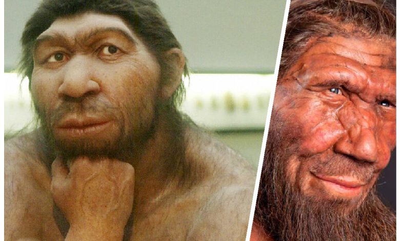 Recent discoveries that lift the veil of mystery over Neanderthals