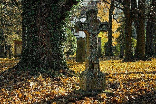 What is death like? Theories scientists are trying to figure out