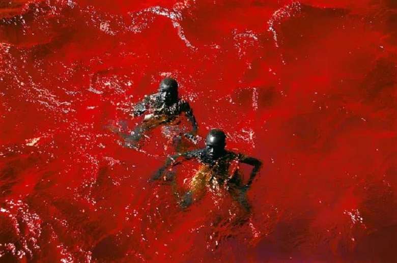 Two boys swimming at the dead sea