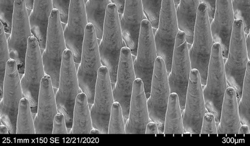 The smart patch is only 1 x 1 cm in size and contains 5,000 tiny needles.