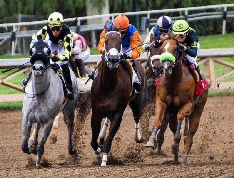 Top 5 most expensive sports to play