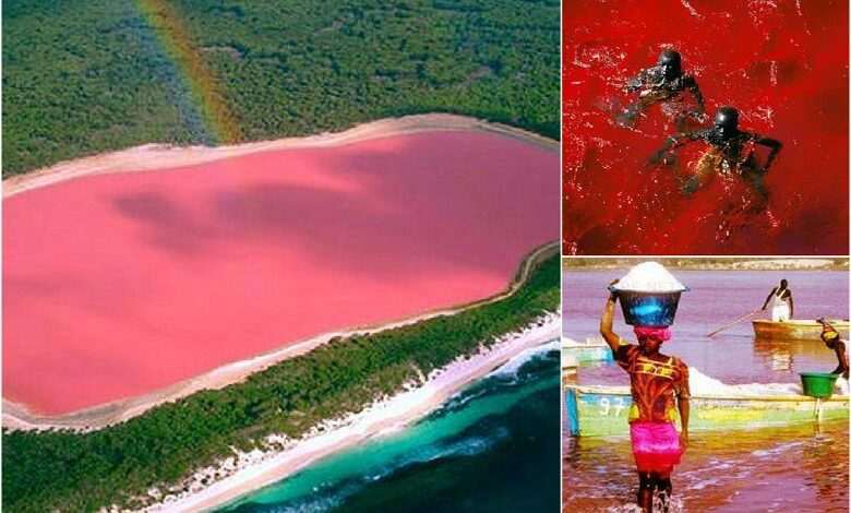 White salts, pink water, golden sands: The mysterious “Dead Sea”