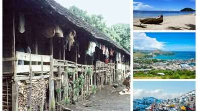 Top 5 largest islands in the world