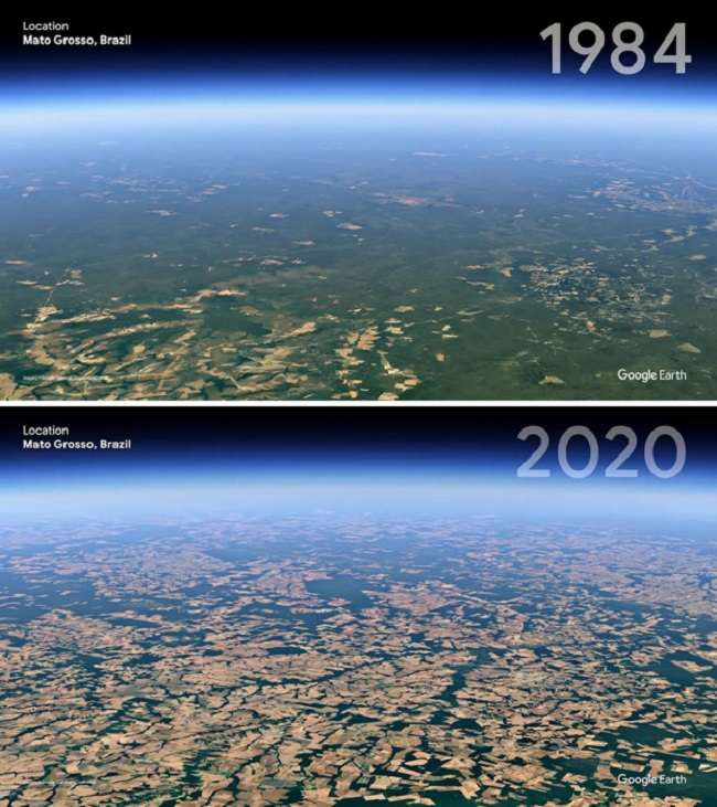 Mato Grosso has drastically changed