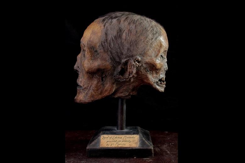 The assumed mummified skull of Edward Mordrake. The image shows a papier-mâché sculpture by the artist Ewart Schindler.