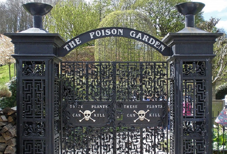 Alnwick Garden: The most poisonous garden in the world