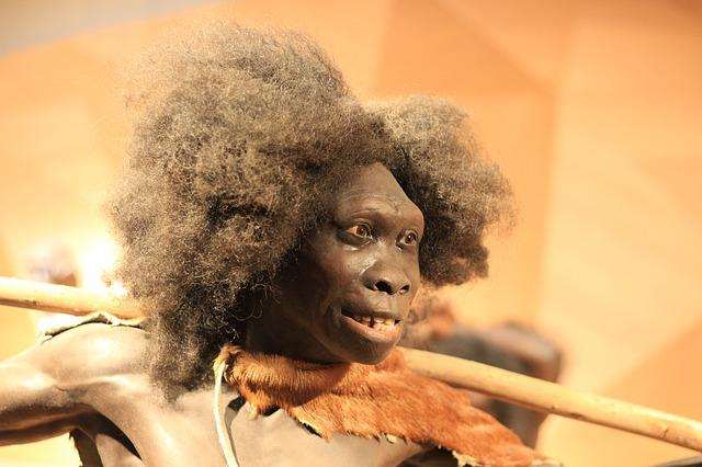 Neanderthal African origins: Study identifies the ancestry in Africa