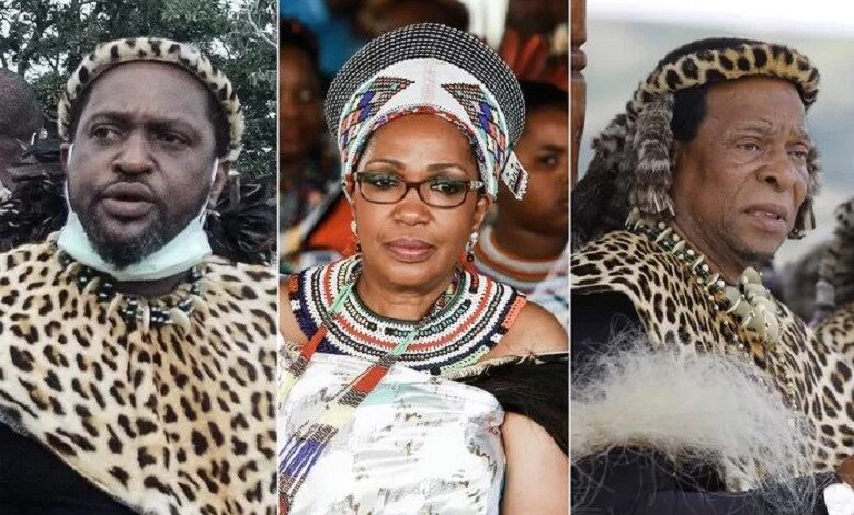 Zulu Queen names son as successor in her will: how rumors of poisoning and intrigue within family lead to unseen drama