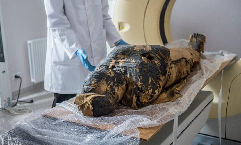 Polish scientists discover first pregnant mummy