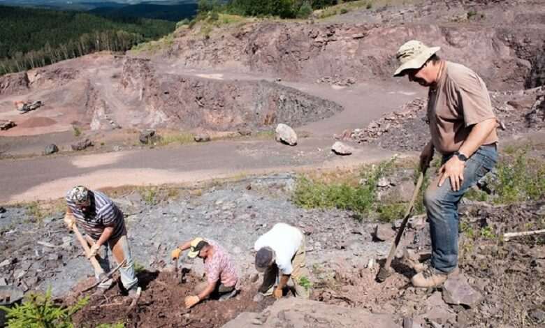 Paleontologists find the remains of a “talkative” dinosaur in Mexico