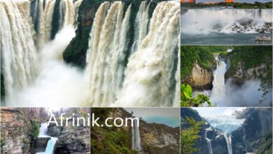 Ten famous waterfalls in the world [Photos]