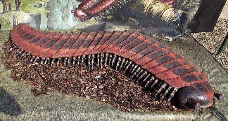 Giant animals in the history of the earth