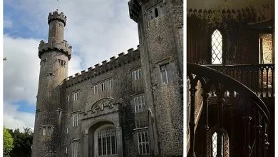 Fans of mysticism strive there: secrets behind Irish “haunted castle” Charleville