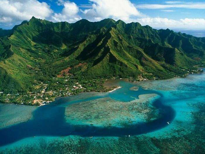 Coconut island